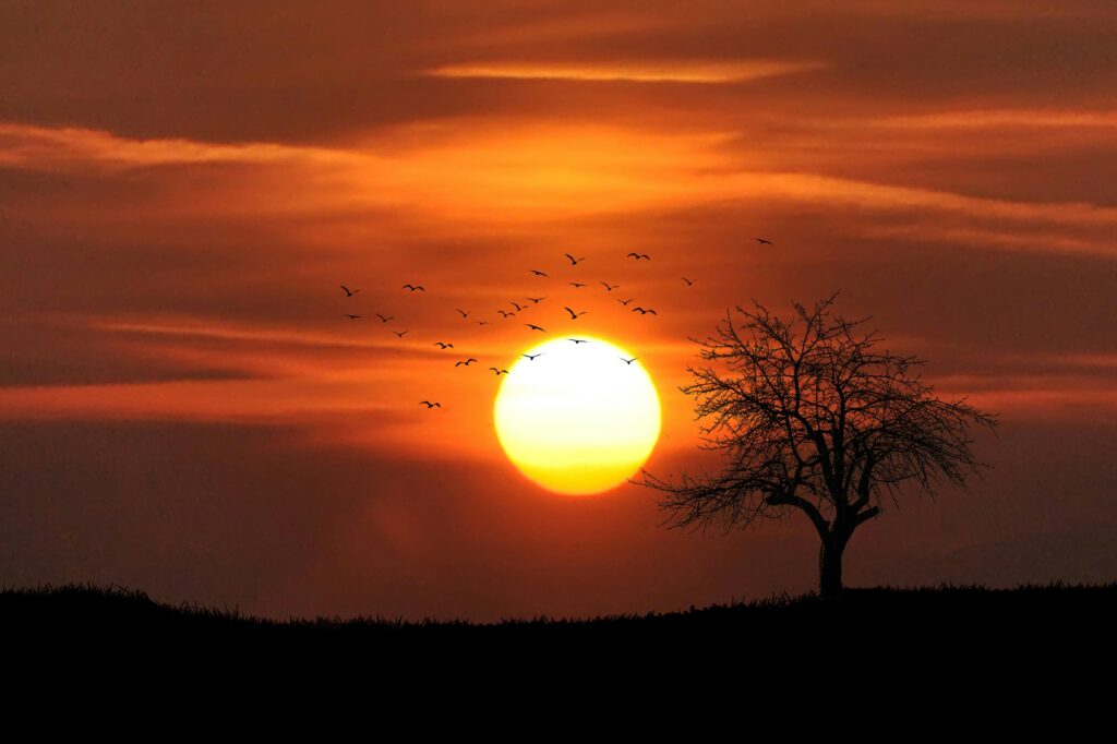 zonsopkomst goed voor bioritme 1024x682